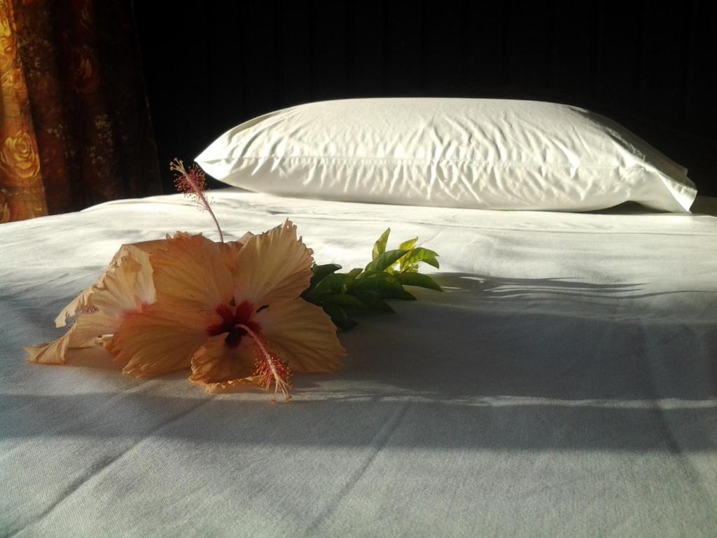 Travellers Beach Resort Nadi Room photo